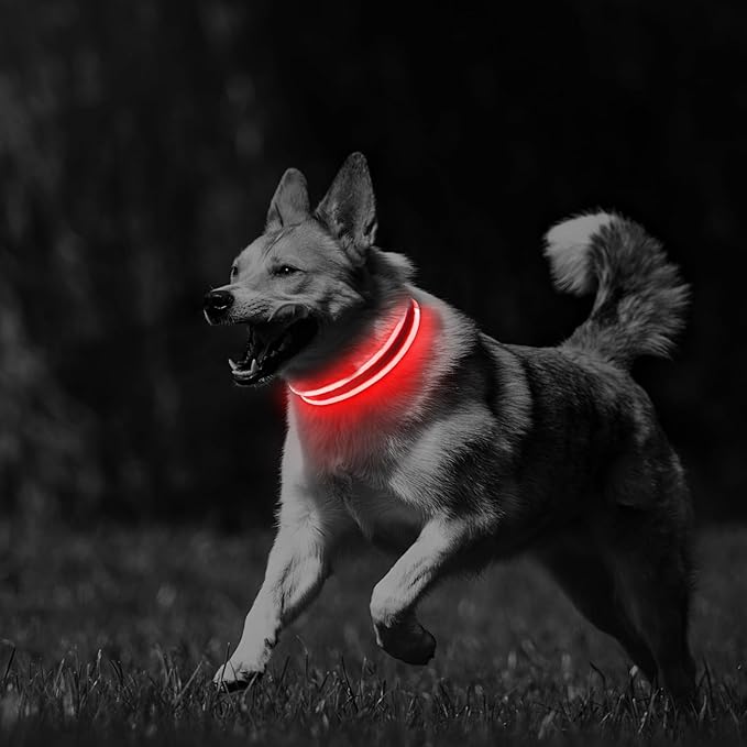 PcEoTllar Light up Dog Collars Rechargeable, LED Dog Collar Night Walking, Waterproof Flashing Glow in The Dark Dog Collars, Adjustable Dog Lights for Large Small Medium Dogs Red-L