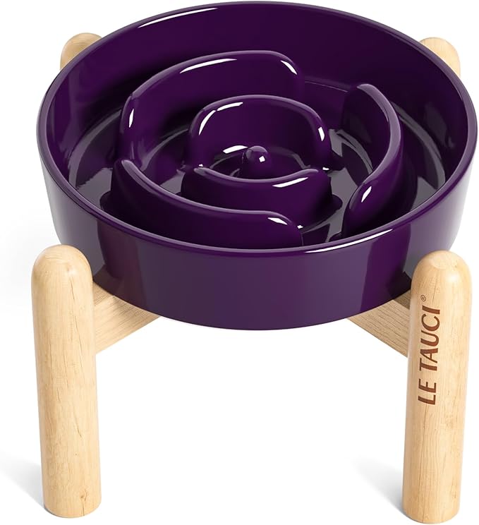 LE TAUCI Ceramic Slow Feed Dog Bowls, Elevated for Small Breeds, Anti-Gulping, Non-Slip, 6 inch, Purple