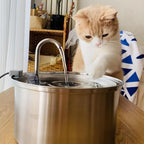 The KittySpout Stainless Steel Wireless Cat Water Fountain, 4L/108oz