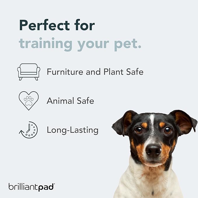 No No! Chew Deterrent Spray | Bitter Anti Chewing Pet Training Aid, Safe for Dog & Puppy, Protect Furniture | Stop Biting, Licking & Scratching | Repellent for Indoors & Outdoors Use | 4oz