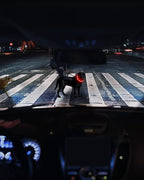 Joytale Light Up Dog Collar, Rechargeable Rainproof LED Collar for Night Walking Safety, Soft Silicone Glow in The Dark, Suitable for Small Medium Large Dogs, Red