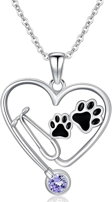 Birthstone Veterinary Stethoscope Necklace 925 Sterling Silver Nurse Vet Pendant with Dog Paw Nurse Jewelry Gifts for Veterinarian Nurse Women Veterinarian Gifts