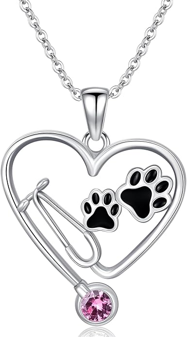 Birthstone Veterinary Stethoscope Necklace 925 Sterling Silver Nurse Vet Pendant with Dog Paw Nurse Jewelry Gifts for Veterinarian Nurse Women Veterinarian Gifts