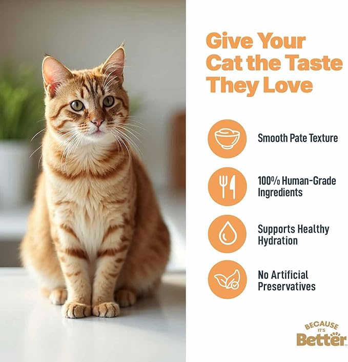 Because it's Better Pate Complete Meal, Turkey Recipe, 2.6 oz Pouches, Wet Cat Food, 12 Count