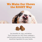 Zesty Paws Probiotics for Dogs, Digestive Enzymes Gut Flora, Digestive Health, Diarrhea & Bowel Support, DE111, Dog Probiotics Soft Chew for Pet Immune System, Chicken, 90 Ct