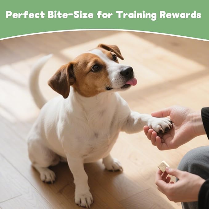 Freeze Dried Chicken Cat and Dog Treats 14.2 OZ – Single Ingredient Chicken Meat High Protein, Bite-Sized Pet Training Snacks or Food Topper for Small Dogs Cats