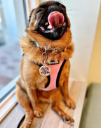 Personalized QR Code Dog Tags - Choose from 25+ Tag Designs - QR Code Links to Your Profile - Unique, Cute, Funny, Sassy Pet ID Tag (Cute But Psycho, Large (1.25 inch))