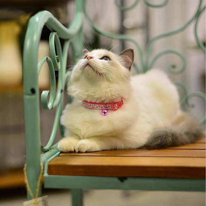 4 Sets Cat Bell for Dog Collar Charm Training Pet Pendant Accessories with 2 Pack Stainless Steel Dog Tag Clips(2 Medium Pink)