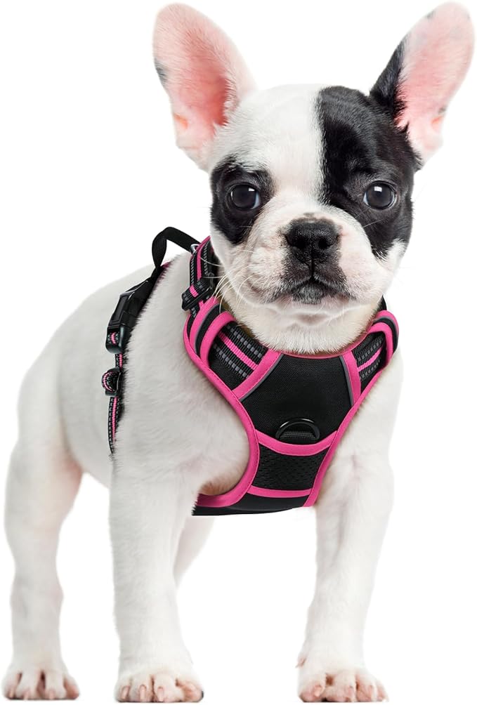 rabbitgoo Dog Harness No Pull with 2 Leash Clips, Adjustable Soft Padded, Reflective Oxford No Choke Pet Vest with Easy Control Handle for Large Dogs, Black & Hot Pink, S