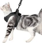 HEYWEAN Cat Harness and Leash - Ultra Light Escape Proof Kitten Collar Cat Walking Jacket with Running Cushioning Soft and Comfortable Suitable for Puppies Rabbits