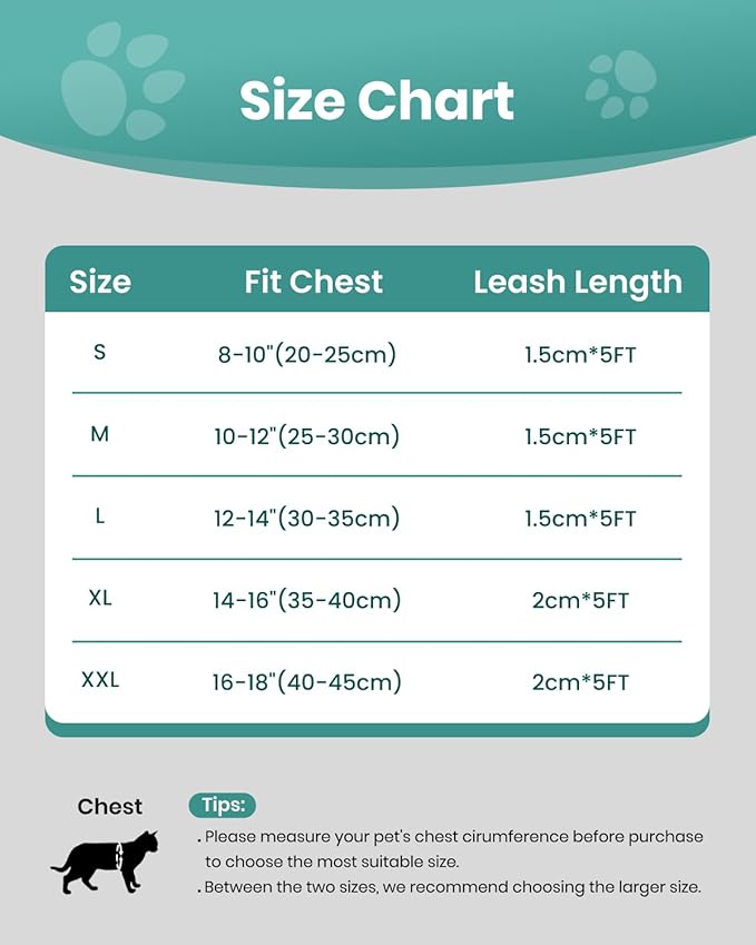 FAYOGOO Escape Proof Cat Harness and Leash Set for Walking, Secure-Fit Step-in Cat Vest Harness, Soft & Lightweight for Kittens and Large Cats