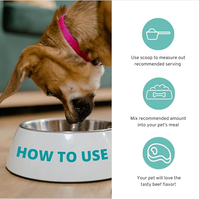 Approx 120 Servings of Dog Probiotic Powder - Probiotics and Digestive Enzymes Supplement and Dog Digestive Support - Made in The USA