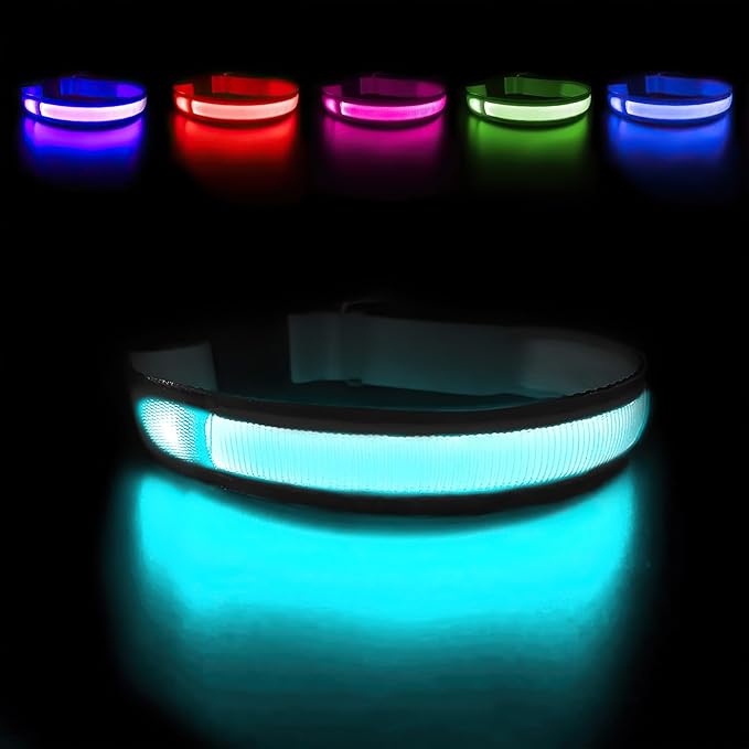 MASBRILL Light Up Dog Collars - LED Dog Collar Rechargeable Lighted Dog Collar Resistant-Water Night Walking Glow Dog Collars