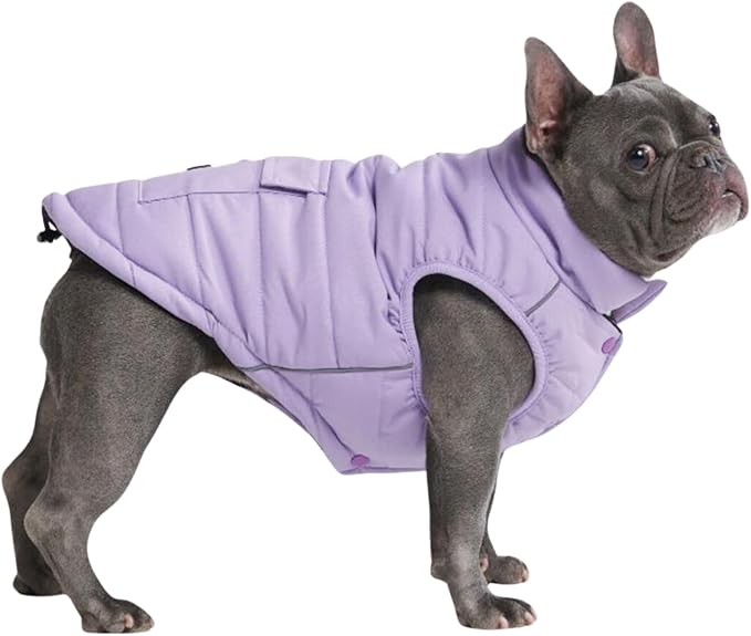 Spark Paws Dog Winter Jacket, Water-Resistant Coat, Warm Reflective Windproof Fleece-Interior, for Medium and Large Dogs - Lilac - L