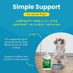 Plant-Based Liquid Glucosamine for Dogs, 1600mg Joint Support with Chondroitin, MSM & Omega 3-6-9, Shellfish-Free Dog Arthritis Supplement for Mobility & Flexibility, Made in USA, 32 oz