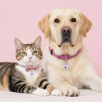 QR Code Tag, Modifiable Online Profile Page, Multiple Emergency Contact, Silent Silicone, Lightweight, No Jinging, Collar Accessories, Personalized Cat Tag (Small Breeds - 1", Purple)