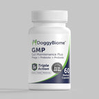 Dog Probiotics - GMP Prebiotics and Probiotics - Reduce Diarrhea Flareups - for Dogs 21-40 lbs (60 Capsules) - DoggyBiome