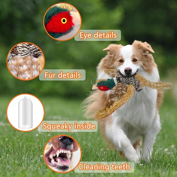 Pheasant Dog Toy Squeaky Pet Toys,Pheasant Interactive Chew Toys Stuffed Teething Toys for Large Medium Small Dog,Pheasant Dogs Toys Squeaky Toy to Keep Them Busy (R-2pheasant)