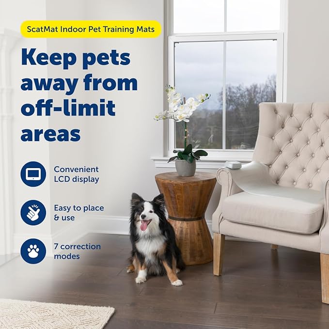PetSafe ScatMat Indoor Training Mat