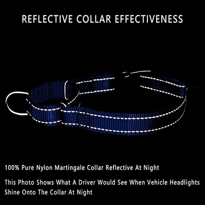 Plutus Pet Reflective Martingale Collar with Buckle - Durable and Adjustable Training Collar for No Pulling, Dog Choker Collar for Small Medium Large Dogs, Royal Blue, L