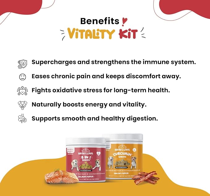 Turmeric & Multivitamin Chews for Dogs – Joint Health, Pain Relief, Mobility, Muscle Relaxation Skin and Coat Support with MSM, Glucosamine, Omega Fish Oil, Vitamin E & Antioxidants (90 Ct Each)