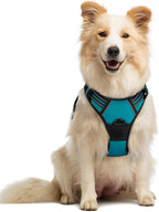 rabbitgoo Dog Harness No Pull with 2 Leash Clips, Adjustable Soft Padded, Reflective Oxford No Choke Pet Vest with Easy Control Handle for Medium Sized Dogs, Teal, M