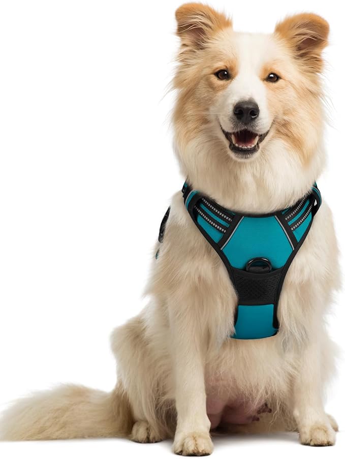 rabbitgoo Dog Harness No Pull with 2 Leash Clips, Adjustable Soft Padded, Reflective Oxford No Choke Pet Vest with Easy Control Handle for Medium Sized Dogs, Teal, M