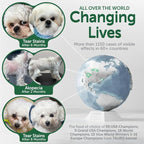 Nature's Protection Superior Care White Dogs Rice Based Dry Dog Food - High Protein, Tear Stain Dog Food for All Breeds Light Coated All Life Stages Dogs, Fresh Pet Meal, White Fish, 22 lb