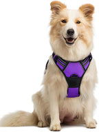 rabbitgoo Dog Harness No Pull with 2 Leash Clips, Adjustable Soft Padded, Reflective Oxford No Choke Pet Vest with Easy Control Handle for Medium Sized Dogs, Purple, M
