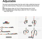 pidan Cat Harness & Leash Set, Cats Escape Proof Adjustable Kitten Harness for Large Small Cats, Lightweight Soft Walking Travel Petsafe Harness Grey,Neck Girth 7.8'' 12.2'', Chest Girth 10.2'' 16.9''