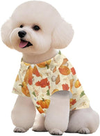 Autumn Pumpkin Dog T-Shirt Teacup Chihuahua Dog Thanksgiving Clothes for Medium Dogs Boy Girls Yorkie Puppy Clothes Breathable Collared Polo T-Shirts Doggy Pet Outfits Apparel Tops