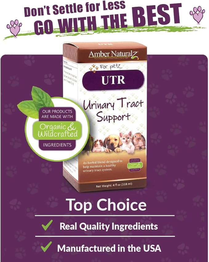 Amber NaturalZ UTR Urinary Tract Herbal Supplement for Dogs, Cats, Birds, Guinea Pigs, and Rabbits | Pet Herbal Supplement for Bladder Support | 4 Fluid Ounce Glass Bottle | Manufactured in The USA