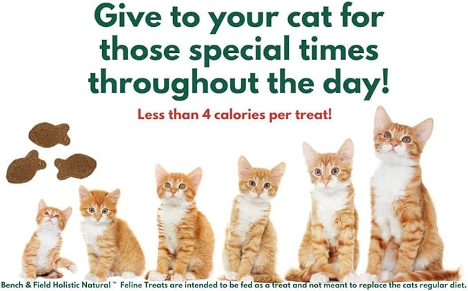 Bench & Field Holistic Natural Healthy Kitty Cat Treats | Crunchy Fish-Shaped Bites | Delicious Seafood Flavored Snack, 3-Ounce (Pack of 3 Bottles)