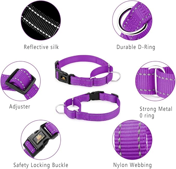 PLUTUS PET Reflective Martingale Collar with Quick Snap Buckle,No Pull Dog Choker Collar for Small Medium Large Dogs,M,Purple