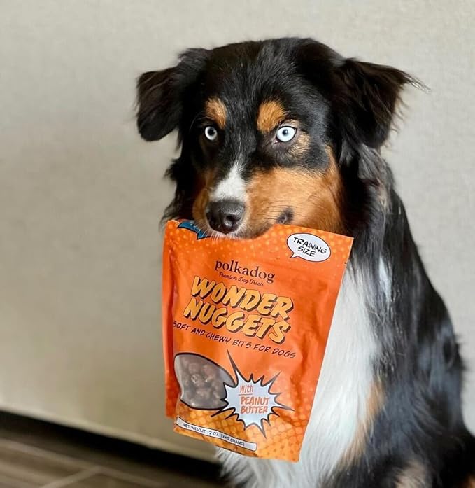 Polkadog Peanut Butter Wonder Nuggets Dog Treats – Vegan, All-Natural Pet Training Treat for Dogs – Healthy, Handmade Puppy Snacks – Bite-Sized, Soft, Chewy Treats for Pets – 10 oz