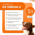 Liquid Health Pets K9 Omega 3 Fish Oil for Dogs - Liquid Omega 3 Supplement for Pets with EPA + DPA + DHA - Reduce Itching & Shedding, Support Joints, Immunity, Brain, Heart Health - USA Made (2 Pack)