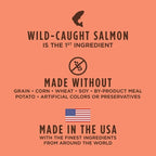 Original Salmon Dry Dog Food, 20 lb. Bag