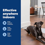 PetSafe ScatMat Indoor Training Mat