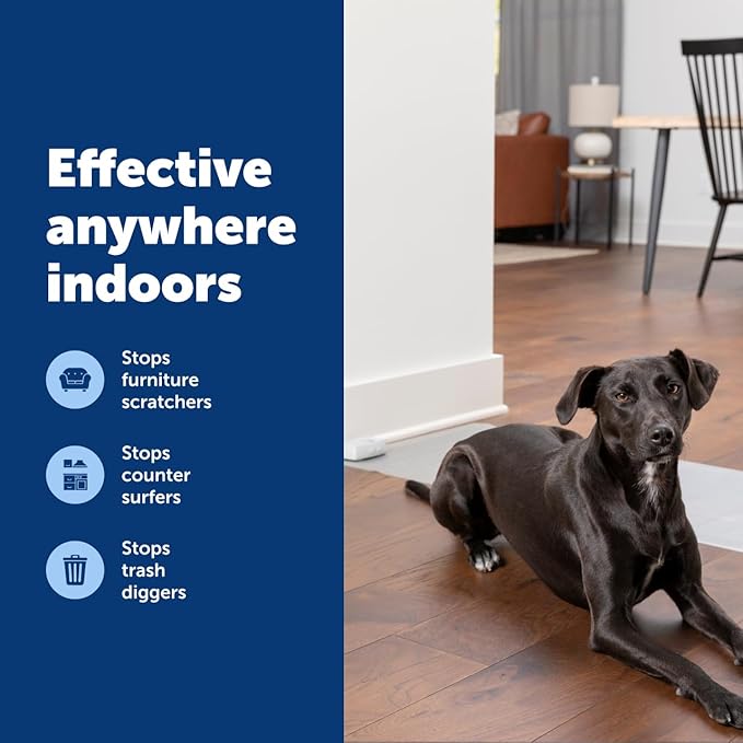 PetSafe ScatMat Indoor Training Mat