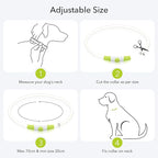 Colaseeme LED Dog Collar Light Up Dog Collars 1 Count USB Rechargeable TPU Glow Safety Basic Dog Collars for Large Medium Small Dogs (Green + Blue)