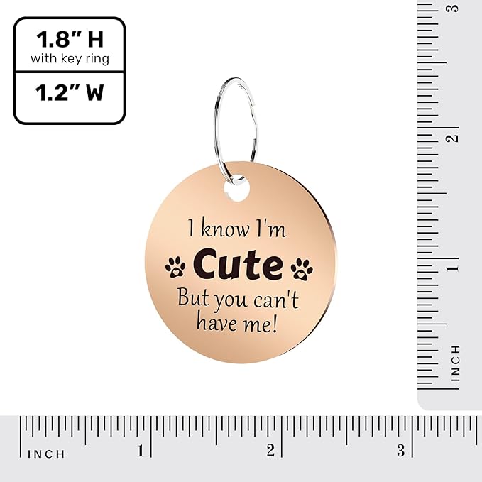 MYLUCKYTAG QR Code Stainless Steel Pet ID Tag - Personalized Online Profile, Location Alert Email, Digital ID, Durable Dog Collar Tag, Engraved