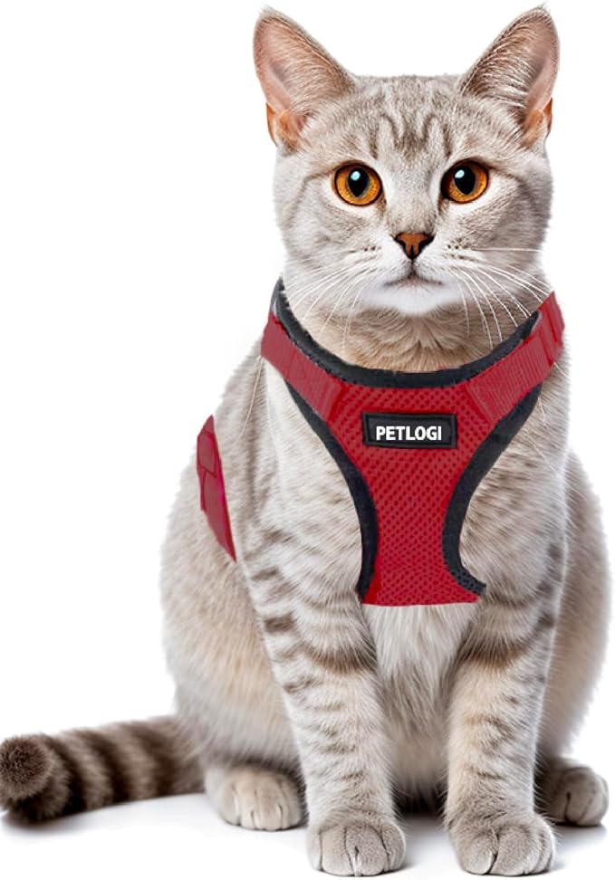 Cat Harness Escape Proof with Leash for Walking, Travel Vest Soft Chest Support, Adjustable Size, Escape Proof Soft Adjustable Vest Harnesses, Breathable, Kittens, Small Dogs (美/背縄/紅1/XS)