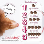 Heart Support Supplement for Dogs-Vet-Formulated, Antioxidant-Rich-L-Taurine, L-Carnitine,EPA,DHA,CoQ10-Aids Circulatory Strength, Cardiovascular Support, Heart Muscle Function-USA Made-60 Soft Chews