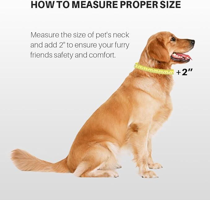 Hyhug Martingale Collar for Dogs Large Green |Escape - Proof Heavy Duty Nylon Durable No Pull, Ideal for Training & Daily Walks