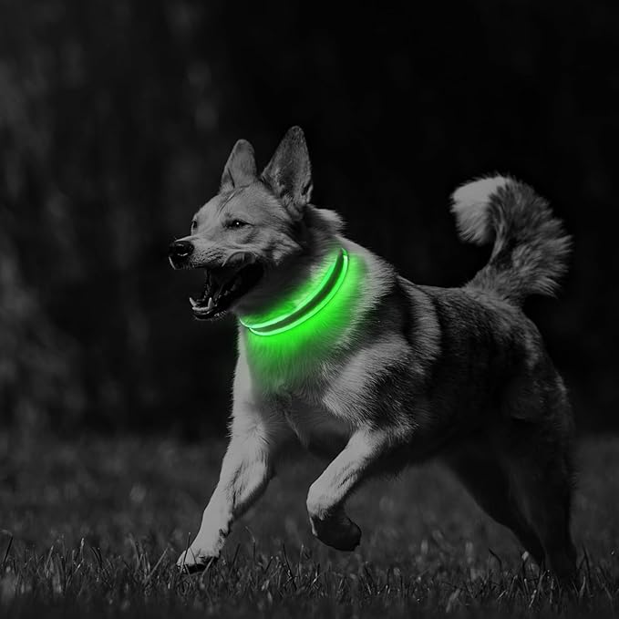 PcEoTllar Light up Dog Collars Rechargeable, LED Dog Collar Night Walking, Waterproof Flashing Glow in The Dark Dog Collars, Adjustable Dog Lights for Large Small Medium Dogs Green-s