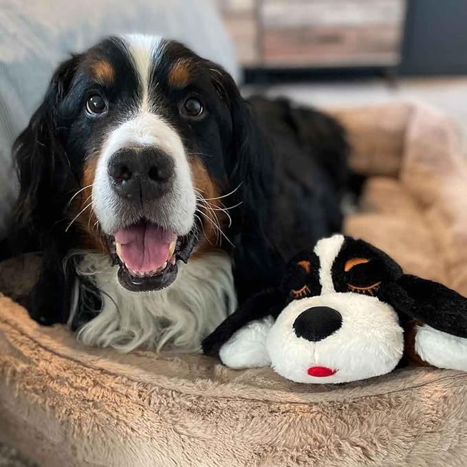 Snuggle Puppy Special Edition Toys - Heartbeat Puppy for Dogs - Pet Anxiety Relief and Calming Aid - Comfort Dog Toys for Behavioral Training