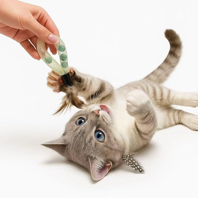 20PCS Interactive Cat Toys for Indoor Cats, Feather Elastic Mesh Cat Toy, Catnip Ball, Colorful Cat Spring, Kitty Rainbow Plush, Teething & Self-Play Kitten Accessories Variety Pack