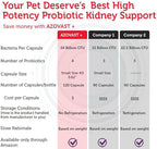 Azovast Plus Kidney Health Supplement for Dogs & Cats, 120ct - NO Refrigeration Required - Help Support Kidney Function & Manage Renal Toxins - Renal Care Supplement Capsule(U.S.A) (120 Caps)
