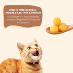 Freeze Dried Cat and Dog Treats, Limited Ingredient Quail Egg Yolk Healthy Tasty Snacks for Training 8.8 Ounce
