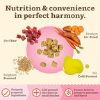 Primal Kibble in The Raw, Freeze Dried Cat Food, Beef, Scoop & Serve, Made with Raw Protein, Whole Ingredient Nutrition, Crafted in The USA, Dry Cat Food, 64 Ounce (4 lb) Bag